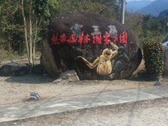 -海南霸王岭国家森林公园