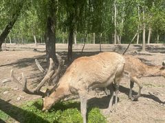 -溱湖国家湿地公园