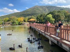 -无锡动物园·太湖欢乐园