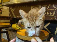 -逃脱反斗城沉浸剧情密室(北京路店)