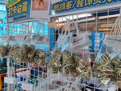 -蓝湾碧波·老字号·疍家非遗海上餐厅