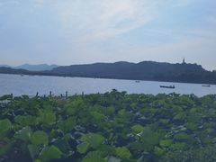 -湖畔居茶楼(湖滨店)