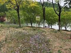 景点-东郊湿地公园
