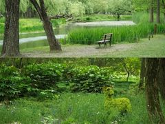 -共青国家森林公园-南大门停车场