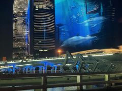 -演武大桥观景平台