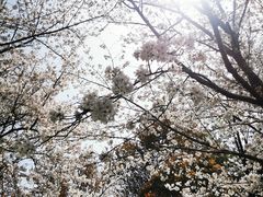 -堤角公园