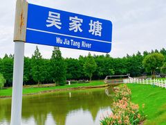 -金山嘴渔村