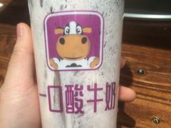 -一只酸奶牛(八一路店)
