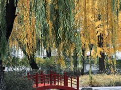 -玲珑塔公园
