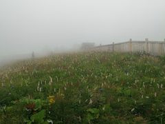 -白草畔自然风景区