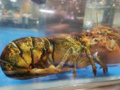-盒马鲜生(顺义店)