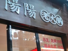 -阳阳老火锅(小南门店)