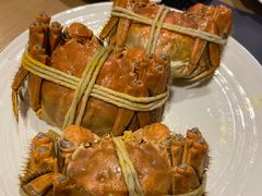 -苏州苏州湾艾美酒店-新食谱全日制餐厅