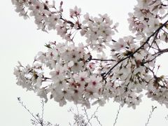 -静安雕塑公园