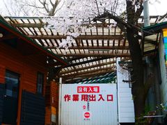 -宫城藏王狐狸村