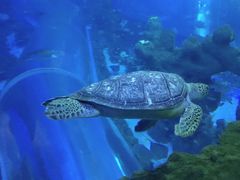 -成都浩海立方海洋公园