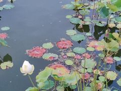-兰湘子·湘菜小炒(长安万科广场店)