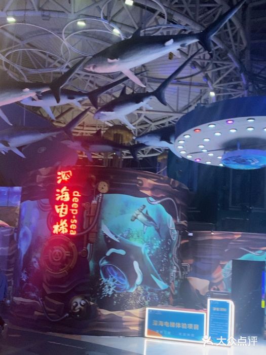 烟台海昌鲸鲨海洋公园图片