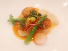 -蝶舍·MAISON PAPILLON