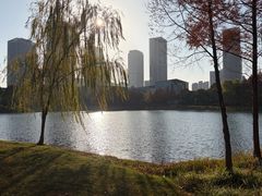 -尚贤河湿地