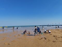 -日照海滨国家森林公园