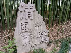-陈家山荷花公园