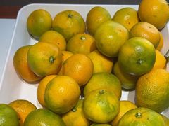 -黄河佬.油泼黄河鲤鱼.地道陕菜(百米大道店)