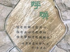 -普陀山风景区-佛顶山