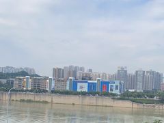 -李子坝梁山鸡(李子坝大鸡哥店)