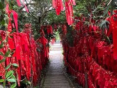 -海南铜鼓岭景区