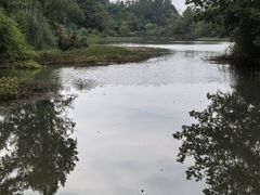 -桤木河湿地公园