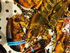 -开海·红岛海鲜虾水饺(石老人店)