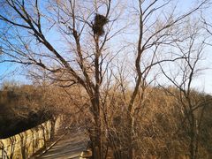 -北京西山国家森林公园