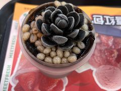 -鲜芋仙(宝地广场店)