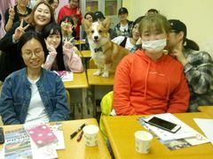 -韩通韩国语学院(虹口校区)