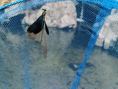 -碓臼峪自然风景区