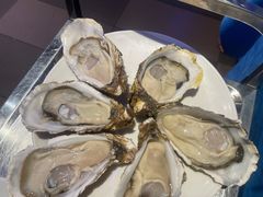 -千岛蚝高压锅生蚝·人参火锅(白云万达店)