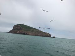 -海驴岛(荣成市)