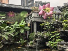 -顺德渔村·岭南一号