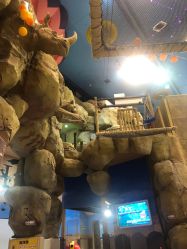 -卡通尼·Safari非洲探索乐园·生日会(金桥国际商业广场店)