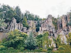 -长虫山生态公园风景林