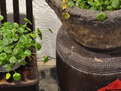 -如禾素食·下午茶·糖水