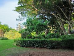 -五缘湾湿地公园