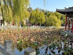 -济南大明湖景区