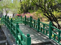 -望湖公园