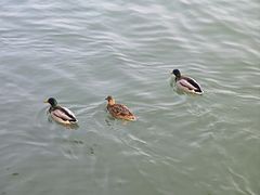 -颐和园