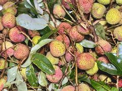 -万达广场(南宁青秀店)