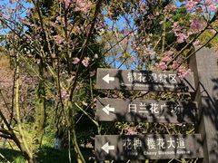 -南山植物园