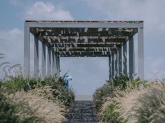 -光明小镇欢乐田园