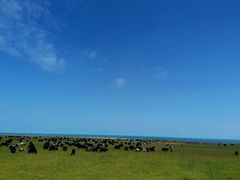 -青海湖国家重点风景名胜区